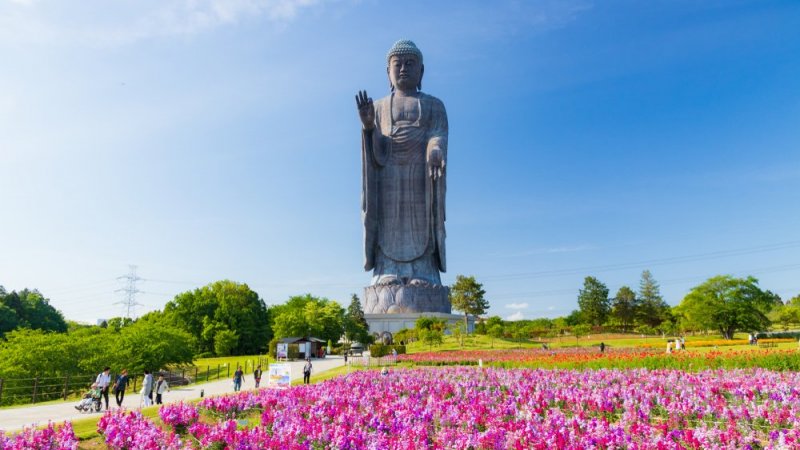 Choáng ngợp với không gian bên trong tượng Phật lớn nhất thế giới ở Nhật Bản