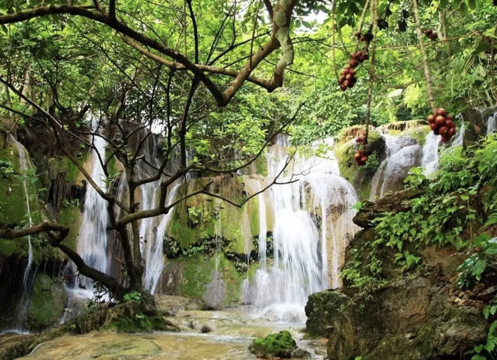 Top những địa điểm du lịch Thanh Hoá đẹp "thần sầu"