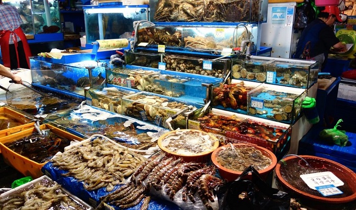 Chìm đắm trong biển hải sản tươi ngon tại Nha Trang (Phần 1)