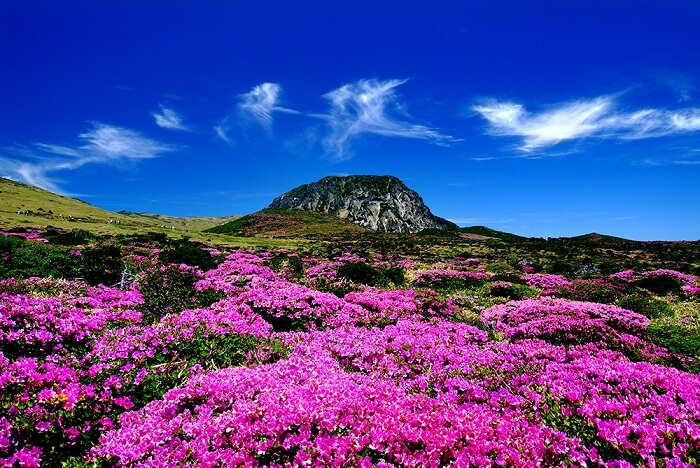 Lần đầu du lịch đảo Jeju đừng bỏ qua những địa điểm này
