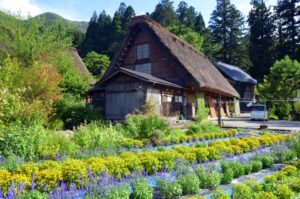 Khám phá Shirakawa Go - Ngôi làng cổ xưa tại Nhật Bản