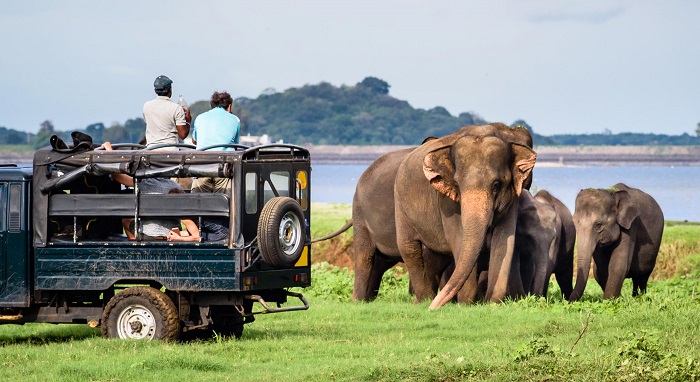 Những địa điểm không thể bỏ qua khi đi du lịch Sri Lanka