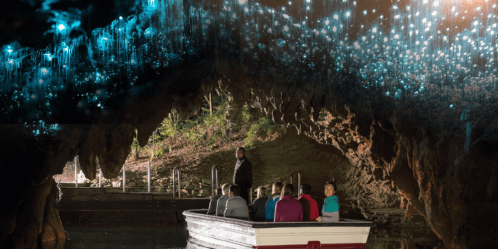 Vẻ đẹp hang động đom đóm Waitomo - New Zealand