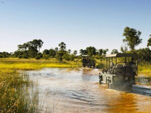 Khám phá đồng bằng Okavango - Di sản Thế giới thứ 1000