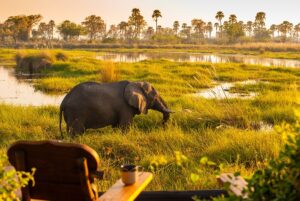 Khám phá đồng bằng Okavango - Di sản Thế giới thứ 1000