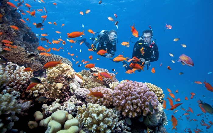 7 địa điểm tuyệt đẹp lặn ngắm san hô tại Phú Quốc
