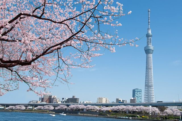 Tokyo nổi tiếng với nhiều hoạt động giải trí, địa điểm tham quan đặc sắc trên thế giới thu hút nhiều du khách đến đây du lịch trải nghiệm. Hãy cùng Sakos điểm qua những địa điểm hấp dẫn này nhé!