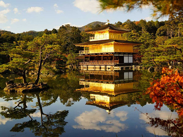 Kyoto là một trong những nơi lưu giữ những giá trị truyền thống tiêu biểu của “đất nước hoa anh đào” thông qua các công trình kiến trúc, đền, chùa được xây dựng từ rất lâu đời. Hãy cùng Sakos tìm hiểu những địa điểm hấp dẫn nơi đây nhé!