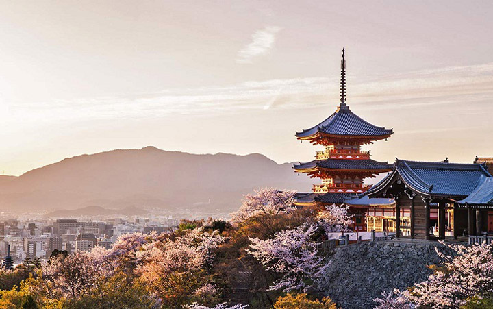 Kyoto là một trong những nơi lưu giữ những giá trị truyền thống tiêu biểu của “đất nước hoa anh đào” thông qua các công trình kiến trúc, đền, chùa được xây dựng từ rất lâu đời. Hãy cùng Sakos tìm hiểu những địa điểm hấp dẫn nơi đây nhé!