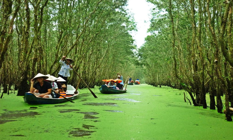 Vườn quốc gia Tràm Chim nổi tiếng với hệ sinh thái đa dạng phong phú và là nơi sinh sống của nhiều loài động vật quý hiếm nằm trong sách đỏ được nhiều du khách quan tâm và đặt chân đến. Hãy cùng Sakos tìm hiểu những địa điểm hấp dẫn này nhé!!!