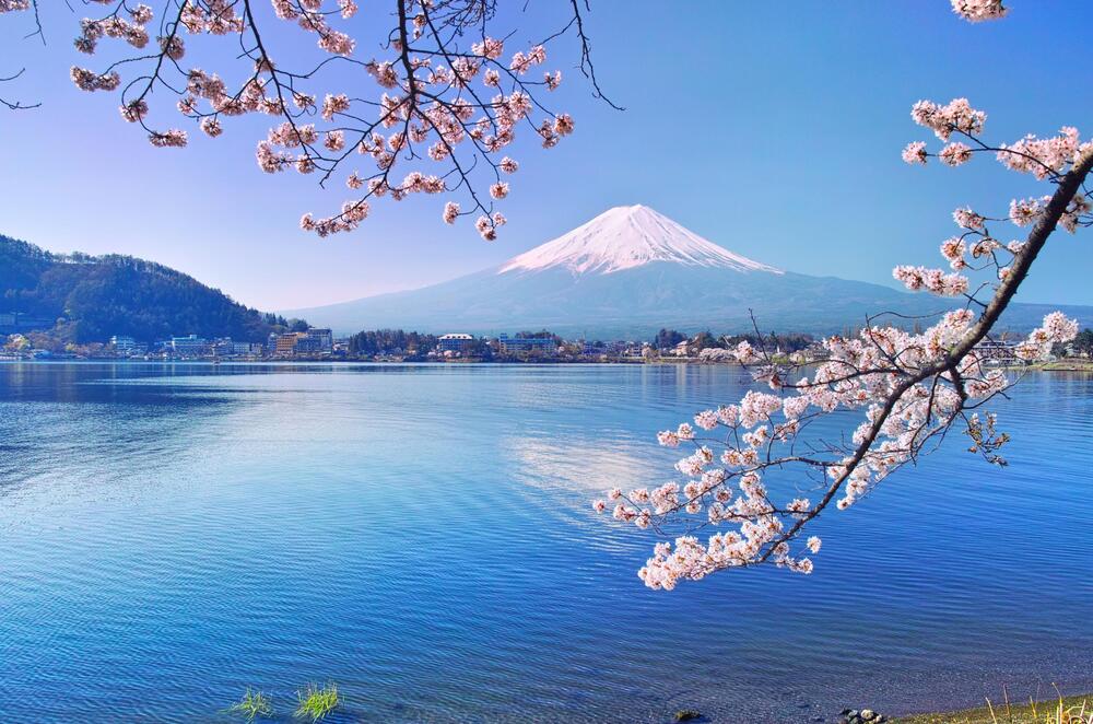 Phú Sĩ Ngũ Hồ đẹp như tranh của Xứ sở hoa anh đào