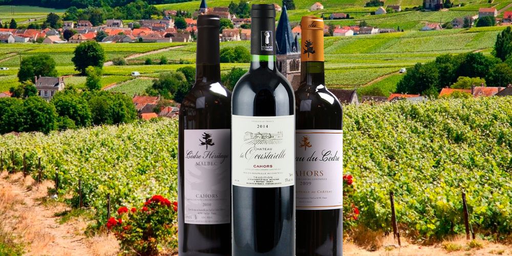 Top 8 vùng rượu vang nổi tiếng nhất nước Pháp
