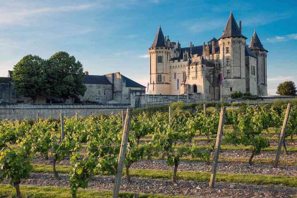 Top 8 vùng rượu vang nổi tiếng nhất nước Pháp