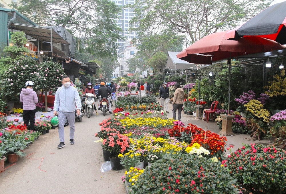 6 khu chợ hoa rực rỡ mùa xuân Hà Nội