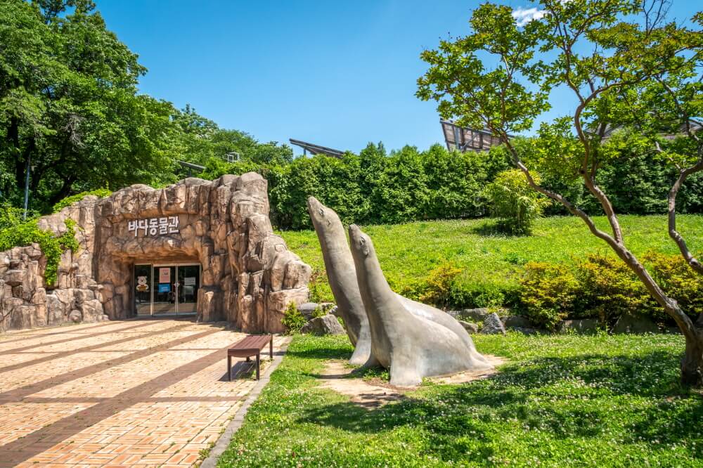 Gyeonggi-do - "Thủ phủ" giải trí của xứ sở kim chi