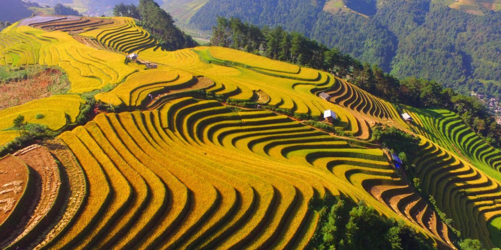 Khám phá top 3 ruộng bậc thang đẹp nhất Việt Nam