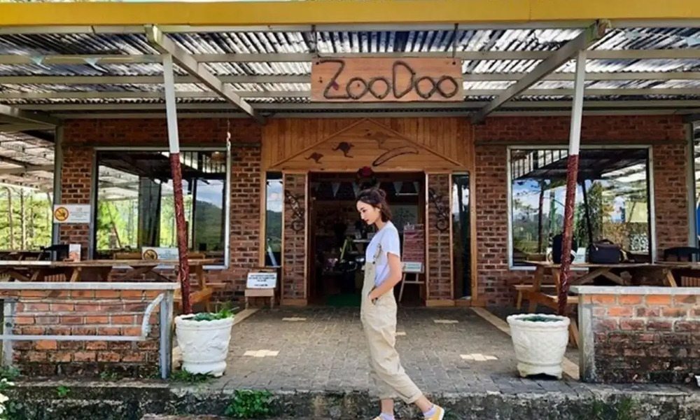 Đến ZooDoo gặp "siêu sao Tiktok" lạc đà Alpaca!