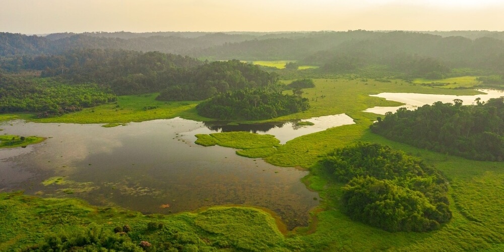 Khám phá thiên nhiên hoang dã tại Vườn quốc gia Cát Tiên