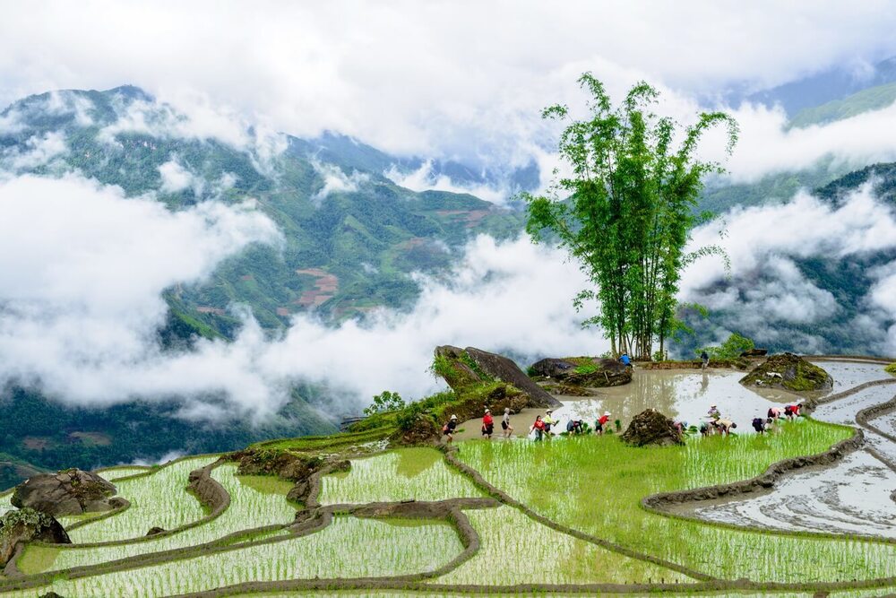 Mùa săn mây Y Tý tại vùng đất du lịch Lào Cai 