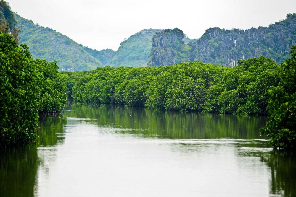 Đắm chìm vẻ đẹp tại Vịnh Nha Phu làm du khách say lòng