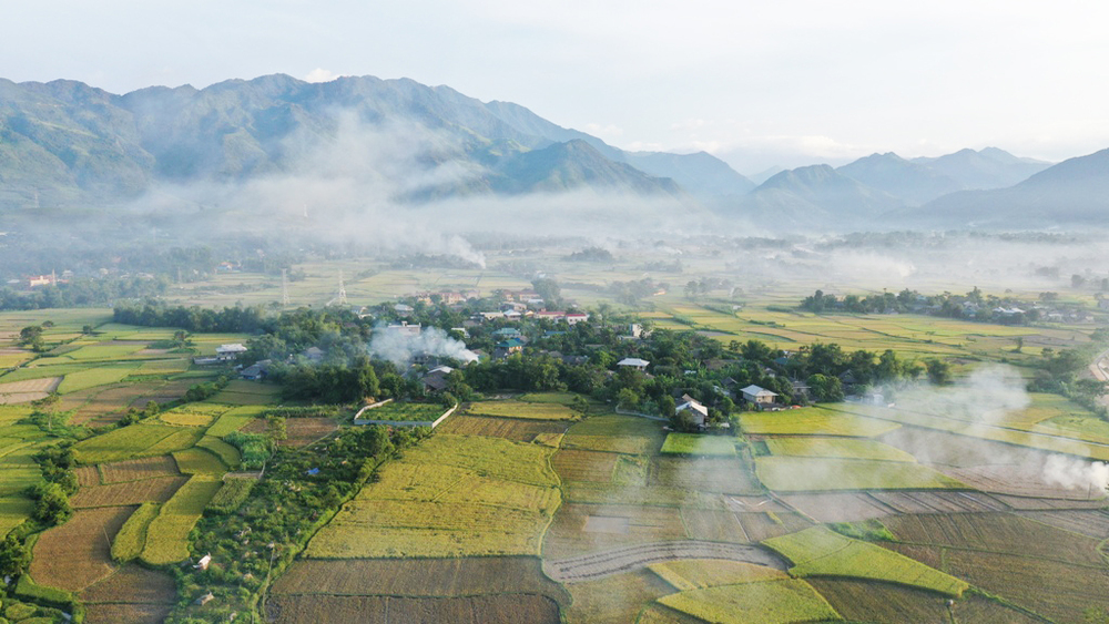 Khám phá vẻ đẹp của vùng đất Nghĩa Lộ - Cánh đồng Mường Lò