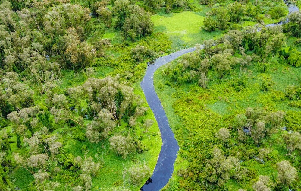 Du lịch rừng tràm Trà Sư - Đậm nét hoang sơ, bình yên tại An Giang