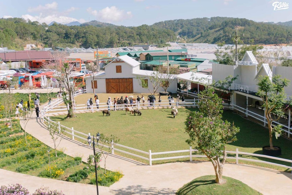 Puppy Farm Đà Lạt - "Xứ sở chó con" dành cho hội mê cún