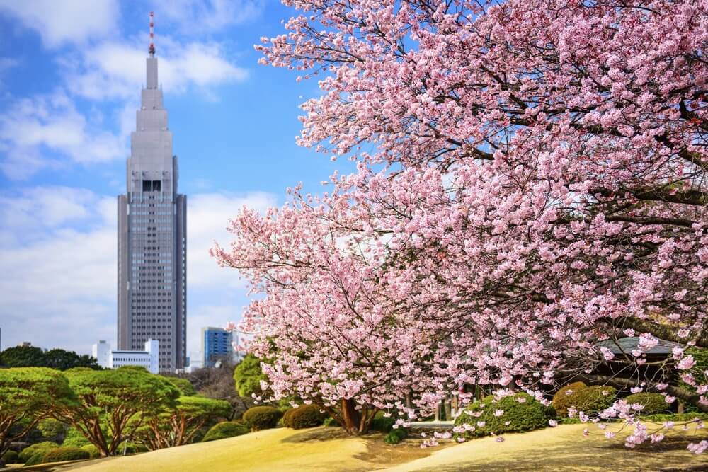 Khám phá "Trái tim không ngủ" Shinjuku của Tokyo