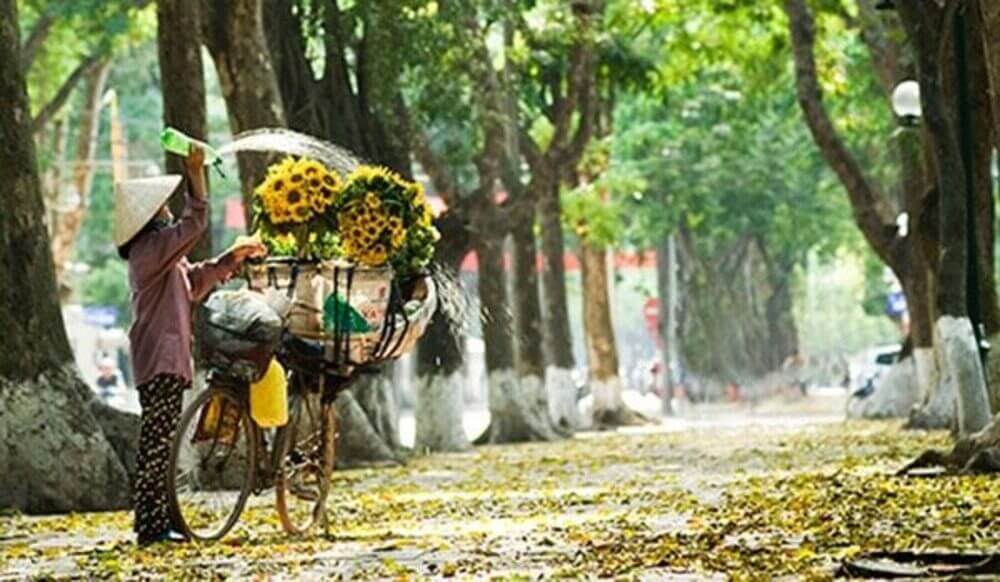 Hà Nội mùa thu: Điểm đến lý tưởng cho những tâm hồn lãng mạn