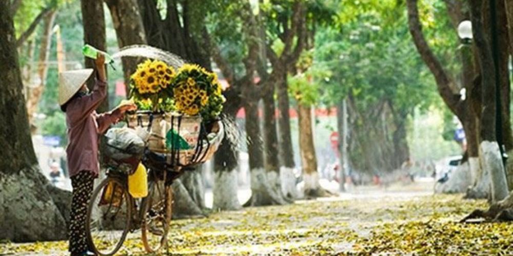 Hà Nội mùa thu: Điểm đến lý tưởng cho những tâm hồn lãng mạn