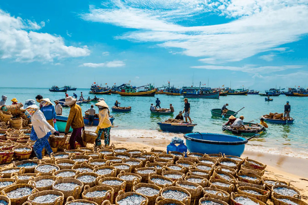 3 chợ Phan Thiết - 'Kho Báu' hải sản cho mọi nhà