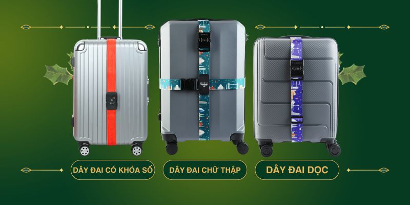 Các loại dây đai phổ biến