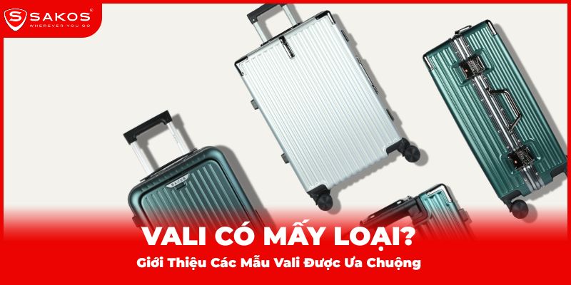 Vali Có Mấy Loại? Giới Thiệu Các Mẫu Vali Được Ưa Chuộng