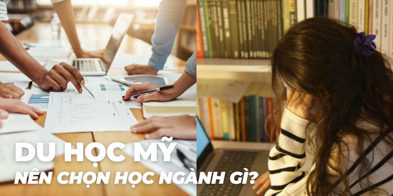 Du học Mỹ nên chọn học ngành gì?
