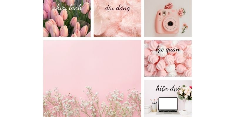 Ý nghĩa đặc biệt của màu hồng phấn