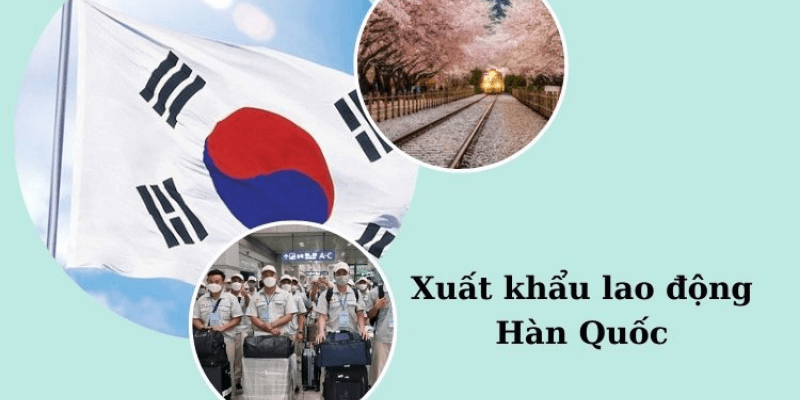 Hành lý xuất khẩu Hàn Quốc cần mang theo những gì?