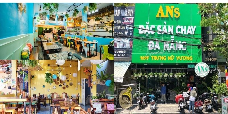 ans vegetarian cuisine
