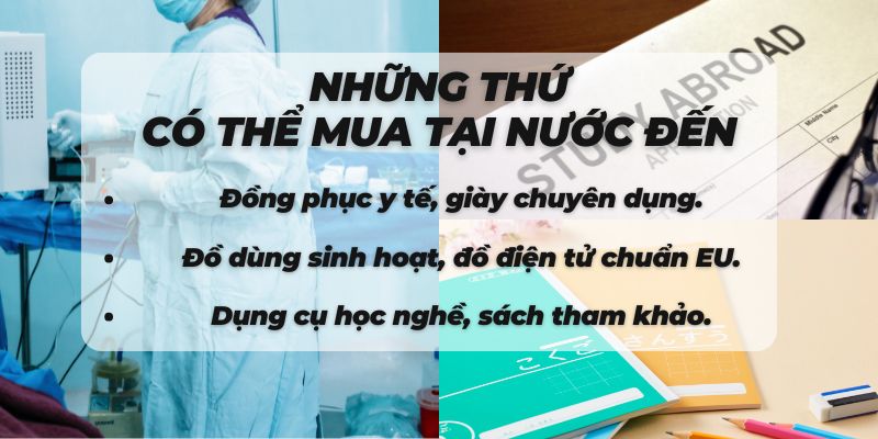 Du học nghề điều dưỡng nên chọn ngành nào dễ xin việc nhất?