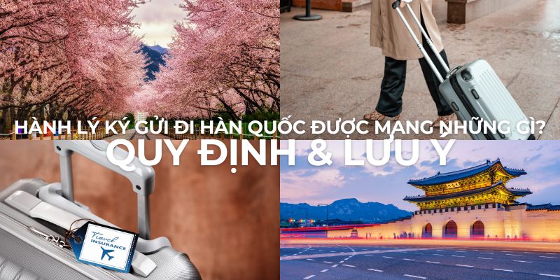 Hành Lý Ký Gửi Đi Hàn Quốc Được Mang Những Gì? Quy Định & Lưu Ý