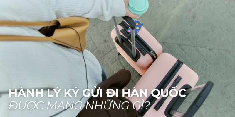 Hành Lý Ký Gửi Đi Hàn Quốc Được Mang Những Gì? Quy Định & Lưu Ý