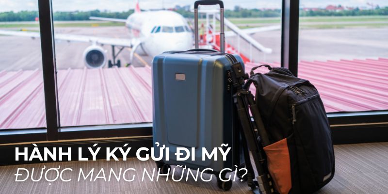 Hành Lý Ký Gửi Đi Mỹ Được Mang Những Gì? Quy Định & Lưu Ý