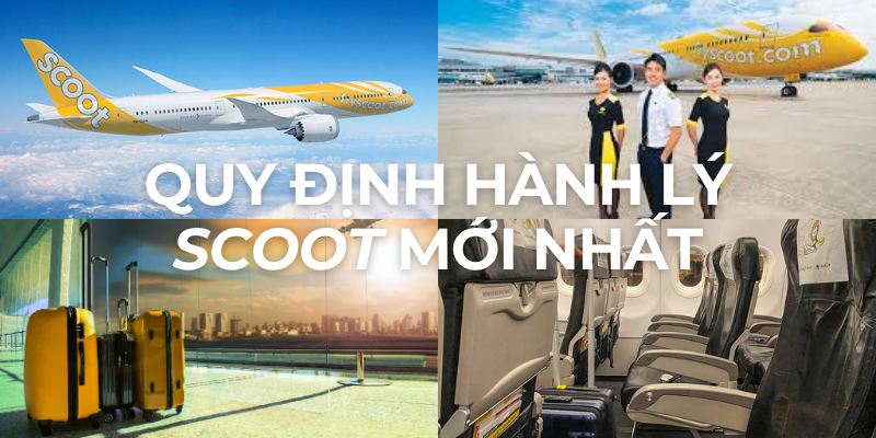 Quy Định Hành Lý Scoot Mới Nhất