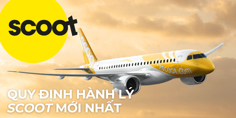 Quy Định Hành Lý Scoot Mới Nhất